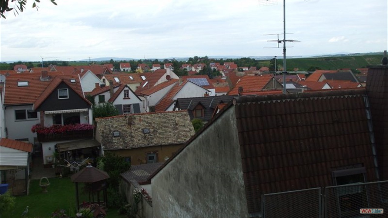 Blick  Schornsheim 12 