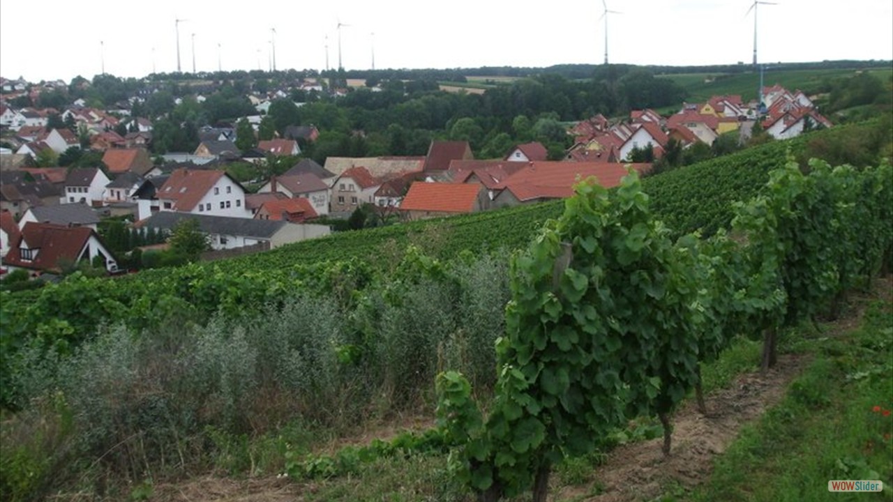 Blick  Schornsheim 4 