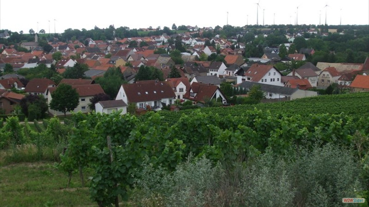 Blick  Schornsheim 6 