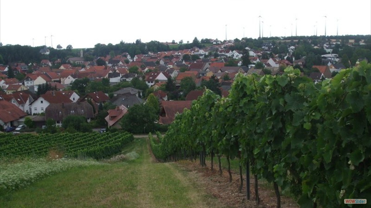 Blick  Schornsheim 8 