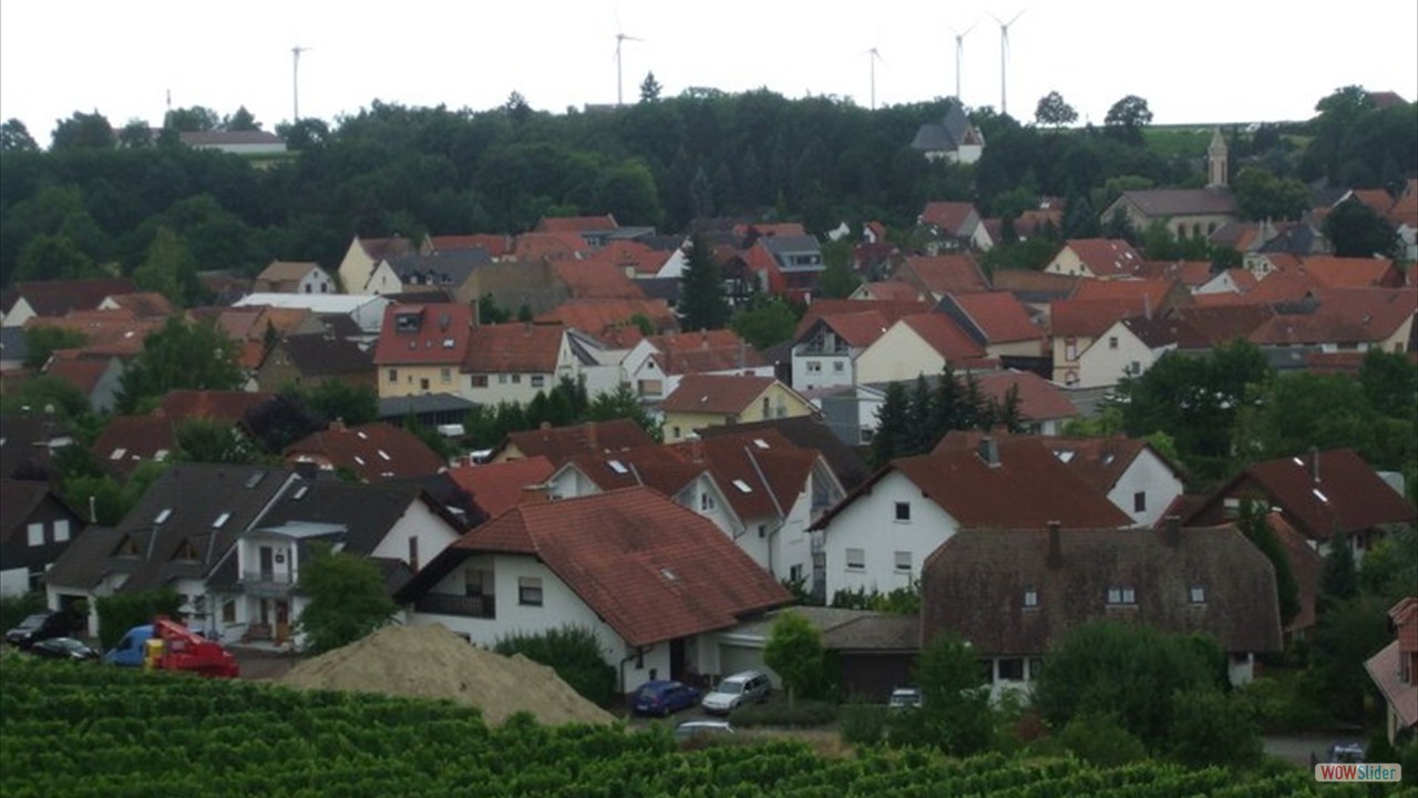 Blick  Schornsheim 9 