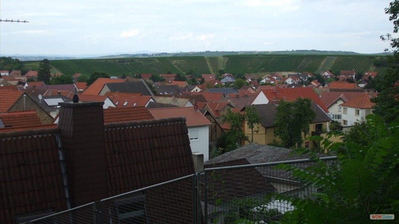 Blick Schornsheim 10 