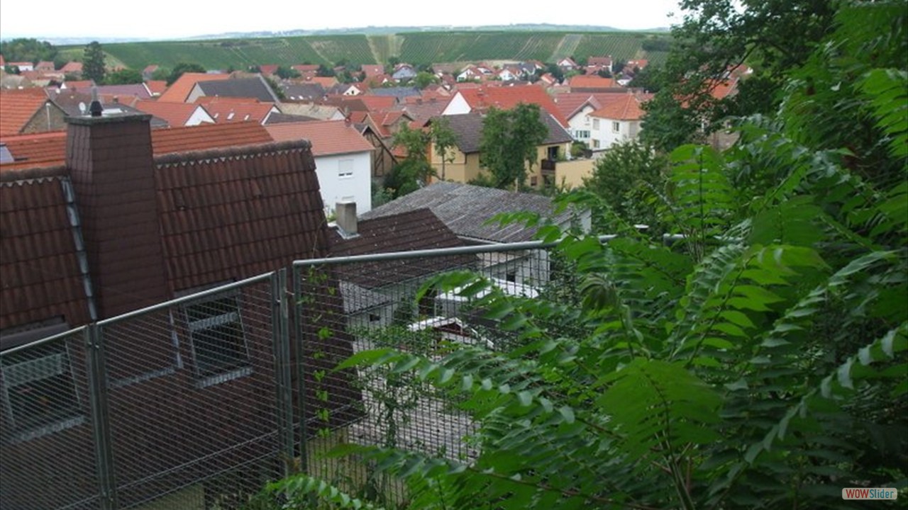 Blick Schornsheim 11 