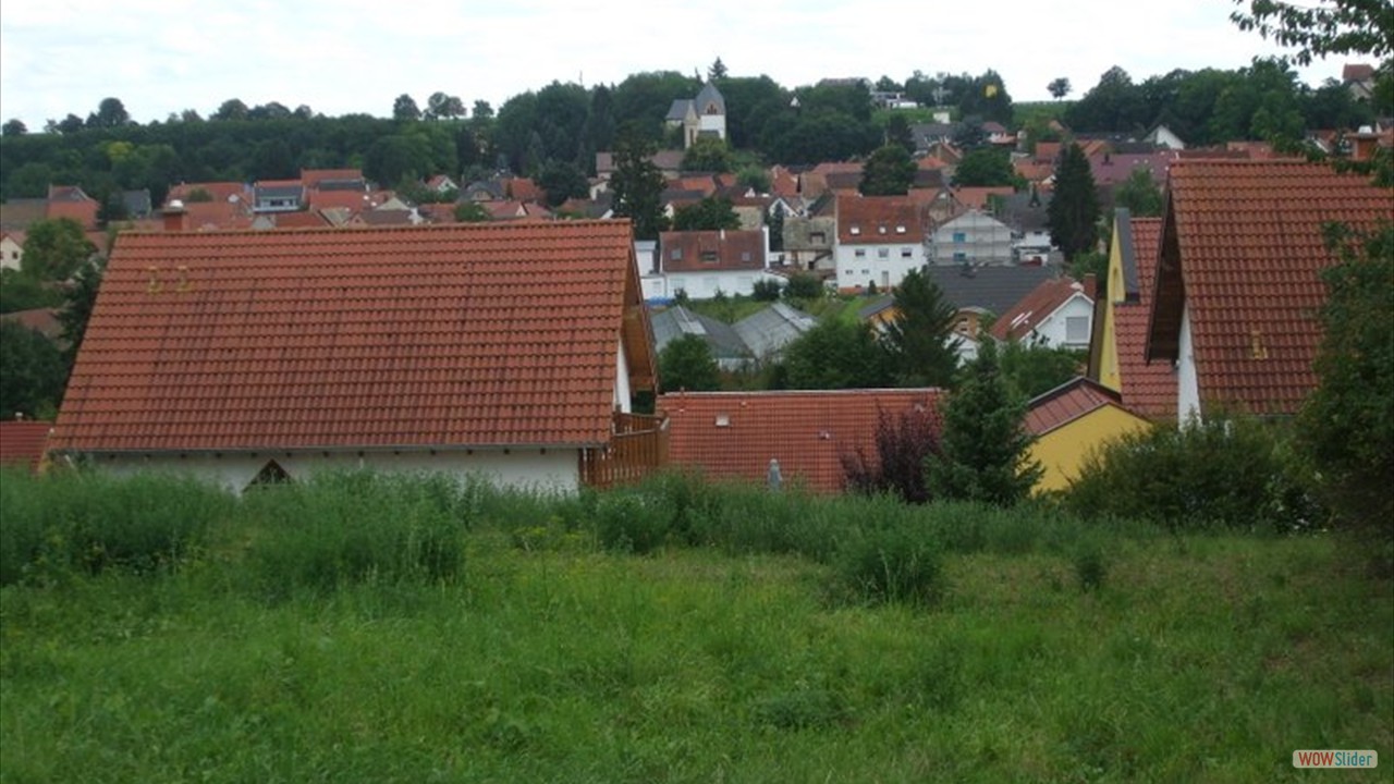 Blick Schornsheim 2 