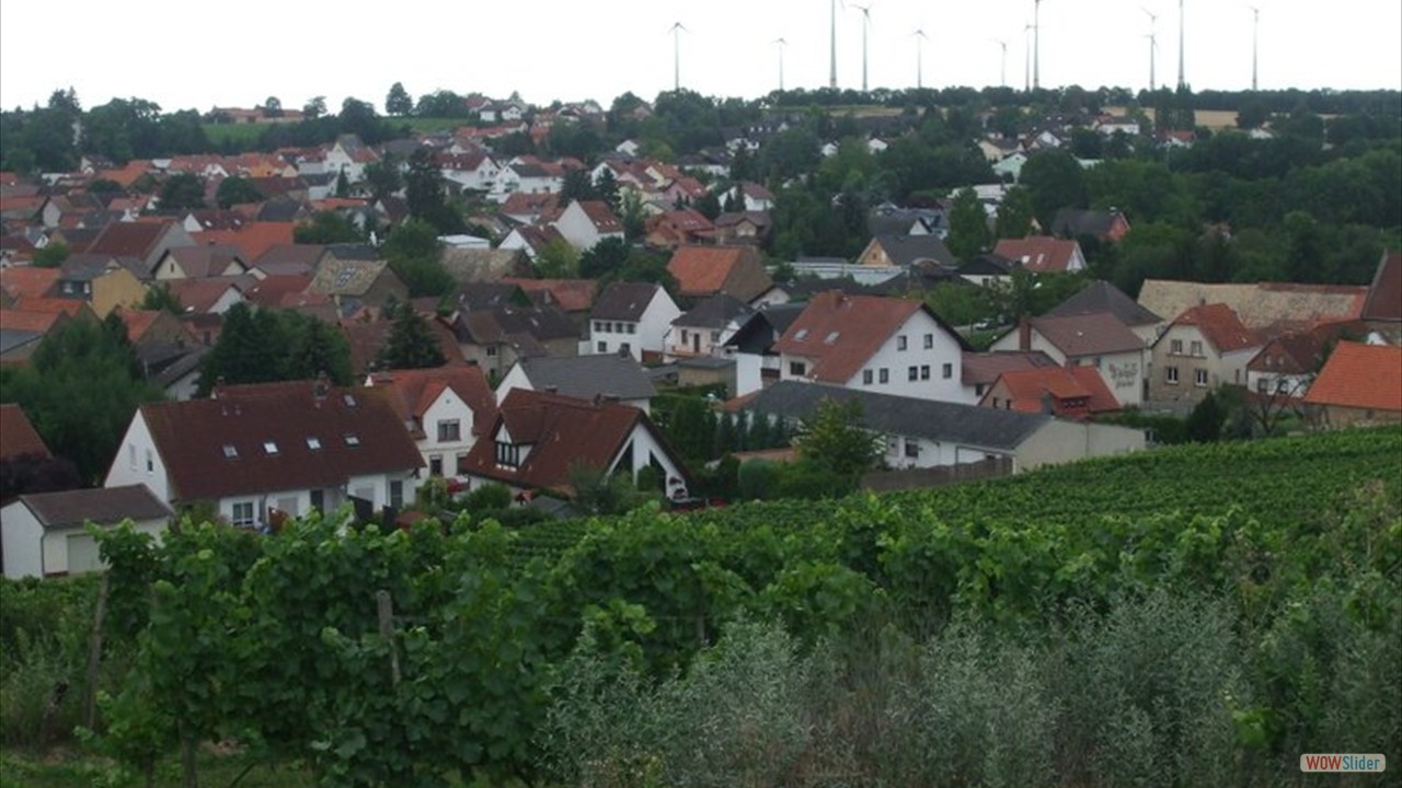 Blick Schornsheim 5 