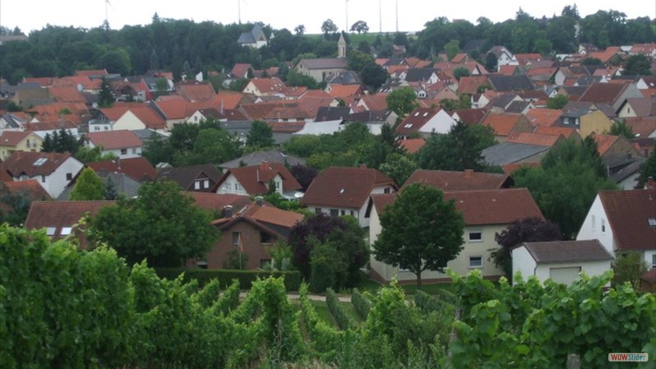 Blick Schornsheim 7 