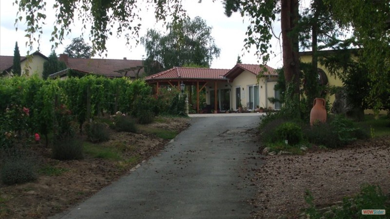 Heyerhof Weingut Hofmeister